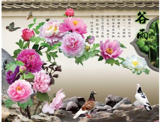 圖片1.jpg