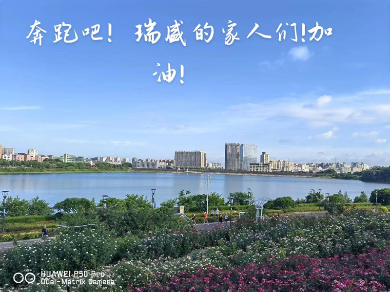 圖片11.jpg